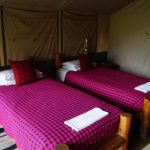 Siana Springs Tented Camp