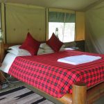 Siana springs tented camp