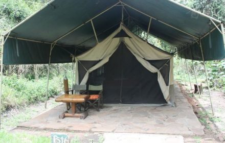 Siana springs tented camp