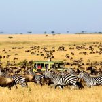 Why you should experience Kenya
