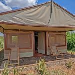 Safari tent