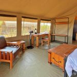 Safari tent