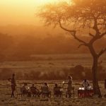 Sundowner Maasai Mara