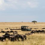 Activities in Maasai Mara national