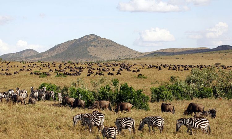 Maasai Mara