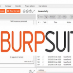 Burpsuite