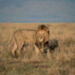 Security threats