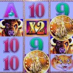 Bet coin