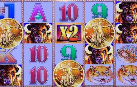 Bet coin